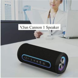 V.Jun_Cannon 1 Speaker 