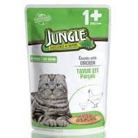 Jungle Cat and Kittens Dry Food