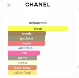 Coco Chanel Mademoiselle EDP 100ml 