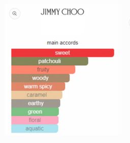 Jimmy Choo by Jimmy Choo EDP 100ml 