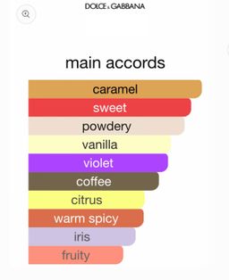 D&G The Only One EDP 100ml (Classic) 