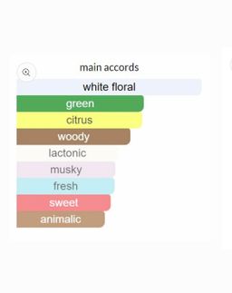 Bvlgari Omnia By Mary Katrantzou floral EDP 65ml 