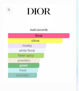 Dior Addict Eau Fraiche EDT 100ml 