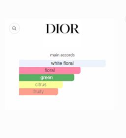 Dior J’adore Parfum L’eau EDP 100ml 