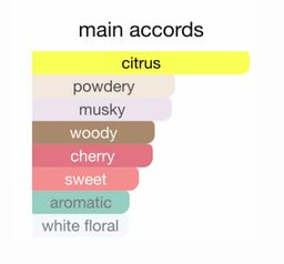 D&G “Q” EDP 100ml 