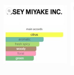 Issey Miyake L’eau D’Issey Pour Homme EDT 125 (classic) 