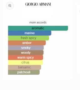 Giorgio Armani Aqua Di Gio Profumo EDP 100ml 
