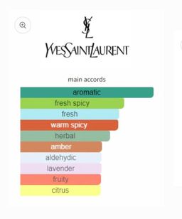 YSL Y Le Parfum 100ml 