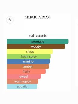 Giorgio Armani Acqua Di Gio Absolu EDP 100ml 