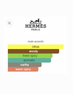 Terre D’Hermes EDT 100ml 