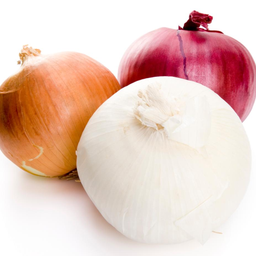Onion