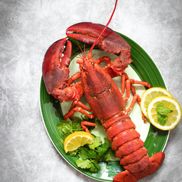 Lobster
