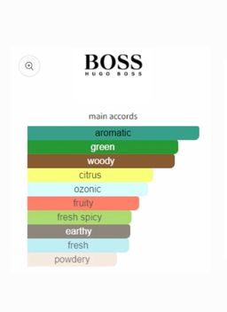 Hugo Boss Bottled United EDT 100ml (chrome) 