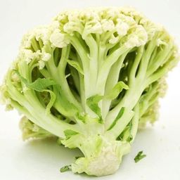 有机菜花 ( -+1kg )