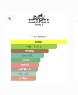 Hermes Concrentre d’ Orange Verte EDT 100ml 