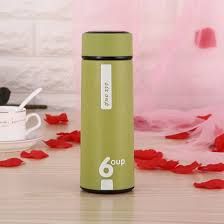 Glass Bottle Vacuum Flask 