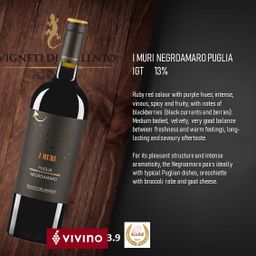I Muri NEGROAMARO Puglia  20/21 (ITL)