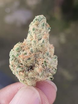 Blue Cheese 
