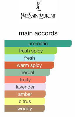 YSL 'Y' Le Parfum 100ml