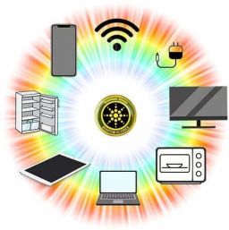 Patch anti-rayon électromagnétique 