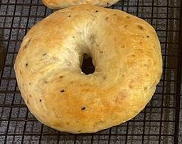 Everything Bagel