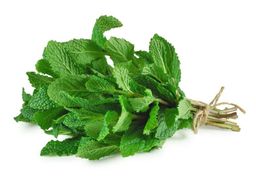 Mint فاخر نعناع