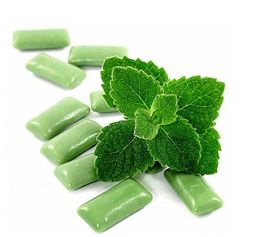 Gum Mint فاخرعلكة نعناع