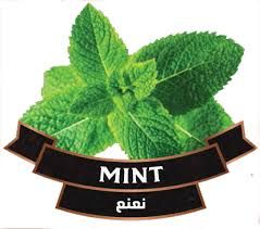 Mint فاخر نعناع 