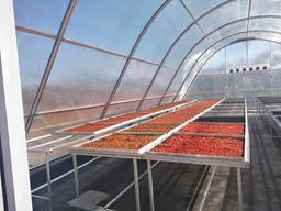 ထူဗျန်းဘီး_ကယန်းမီးတောက်ငရုတ်