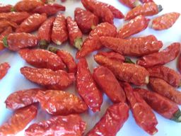 ထူဗျန်းဘီး_မာလရှမ်းကော