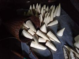 ထူဗျန်းဘီး_ကယန်းမျှစ်ချဥ်