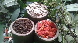 ထူဗျန်းဘီး_မက်ခါမှုန့်