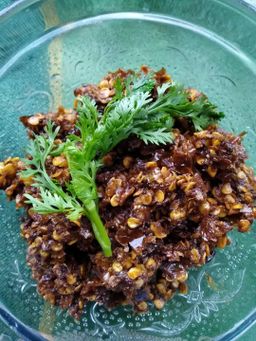 ထူဗျန်းဘီး_ကယန်းမီးတောက်ငရုတ်