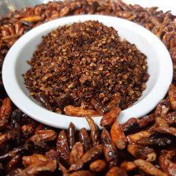 ထူဗျန်းဘီး_ကယန်းမီးတောက်ငရုတ်