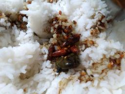 ထူဗျန်းဘီး_ကယန်းမီးတောက်ငရုတ်