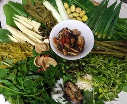 ထူဗျန်းဘီး_ကယန်းမီးတောက်ငရုတ်