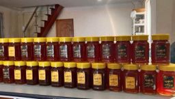 ထူဗျန်းဘီး_သစ်ခေါင်းပျားရည်