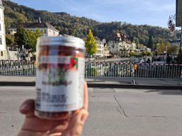 ထူဗျန်းဘီး_ကယန်းမီးတောက်ငရုတ်