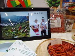 ထူဗျန်းဘီး_ကယန်းမီးတောက်ငရုတ်