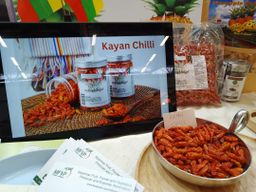 ထူဗျန်းဘီး_ကယန်းမီးတောက်ငရုတ်