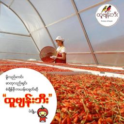 ထူဗျန်းဘီး_ကယန်းမီးတောက်ငရုတ်