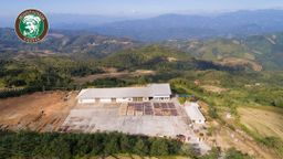 Mountaineer_Green (Raw) Coffee Bean