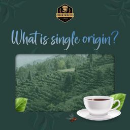 Mountaineer_Specialty Coffee#