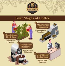 Mountaineer_Roasted Coffee Beans