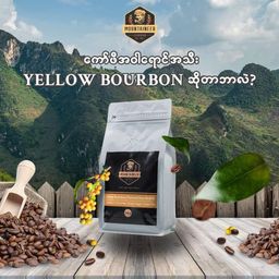 Mountaineer_Specialty Coffee#