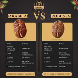 Mountaineer_Roasted Coffee Beans