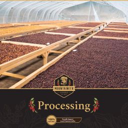 Mountaineer_Medium Roast Coffee