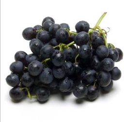 Black Grape 🇪🇬