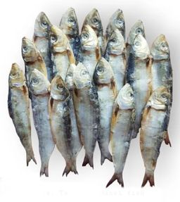 Dry Sardine 🇴🇲