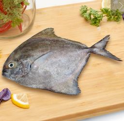 Black Pamphlet  🇰🇼